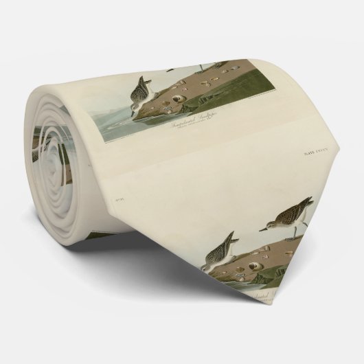Sandpiper, Audubons Vögel von Amerika Krawatte (Gerollt)