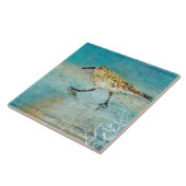 Sandpiper Beach Shorebird Weatherwork Fliese (Seite)