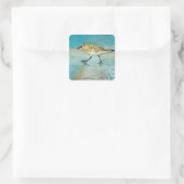 Sandpiper Beach Shorebird Weatherwork Quadratischer Aufkleber (Tasche)