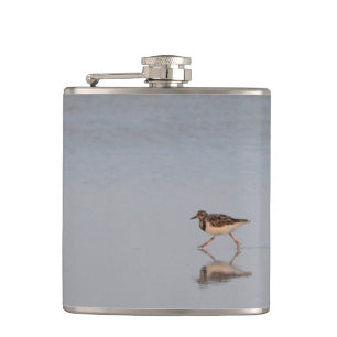 Sandpiper Bird Beach Nature Naturfotografie Flachmann
