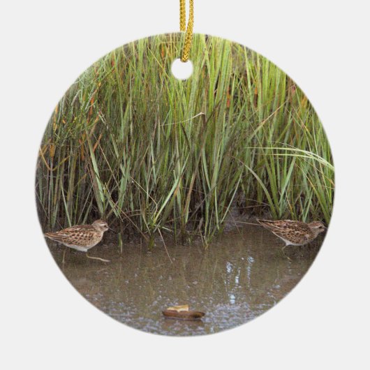 Sandpiper Bird Foto Ornament (Vorne)