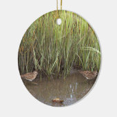 Sandpiper Bird Foto Ornament (Links)