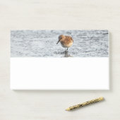 Sandpiper Bird Foto Stationery Note Pad Post-it Klebezettel (Auf Schreibtisch)