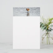 Sandpiper Bird Foto Stationpapier Briefpapier (Stehend Vorderseite)