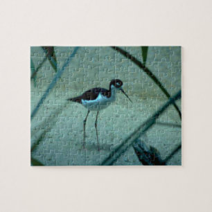 Sandpiper Bird Puzzle