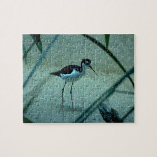 Sandpiper Bird Puzzle (Horizontal)