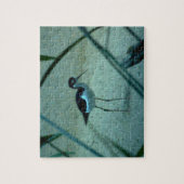 Sandpiper Bird Puzzle (Vertikal)