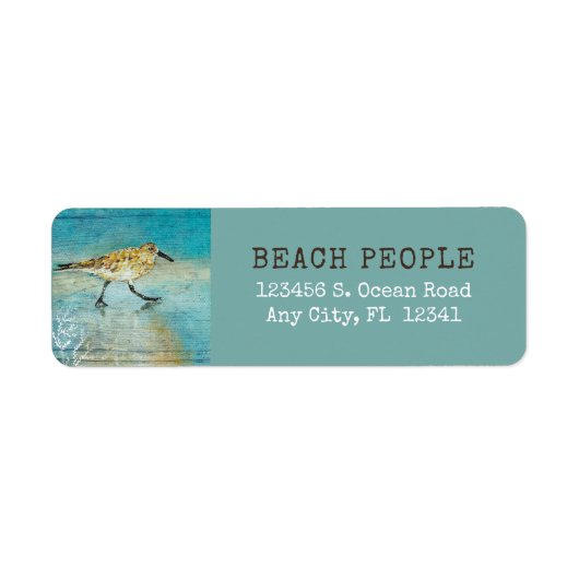 Sandpiper Coastal Bird Beach Painted Art (Vorne)