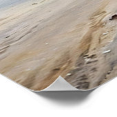 Sandpiper in Beach Bird Art Poster (Ecke)