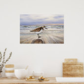 Sandpiper in Beach Bird Art Poster (Küche)