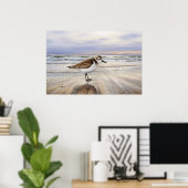 Sandpiper in Beach Bird Art Poster (Heimbüro)