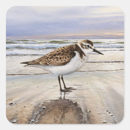 Sandpiper in Beach Bird Art Quadratischer Aufkleber (Vorderseite)