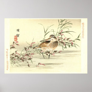 Sandpiper in Water Vintage japanische orientalisch Poster