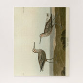 Sandpiper, langbeinig - Audubons Vögel in Amerika Puzzle (Vertikal)