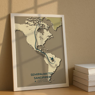 Sandpiper-Migrationskarte - Minimalistisch Poster