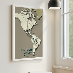 Sandpiper-Migrationskarte - Minimalistisch Poster