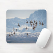 Sandpiper Nature Foto Mousepad (Mit Mouse)