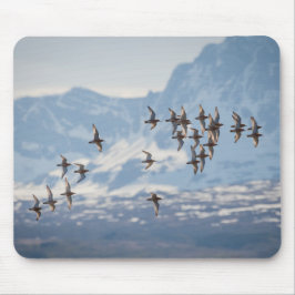 Sandpiper Nature Foto Mousepad