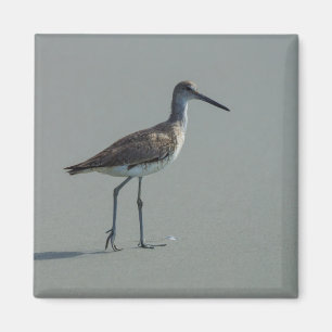 Sandpiper-Pose Magnet