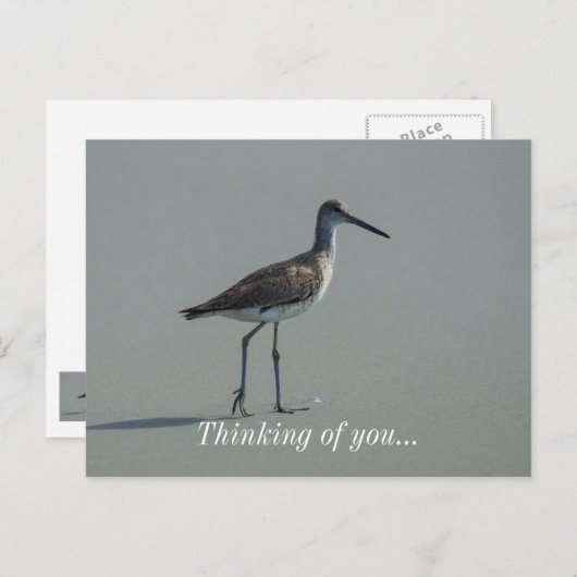 Sandpiper-Pose Postkarte (Vorne/Hinten)