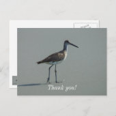 Sandpiper-Pose Postkarte (Vorne/Hinten)