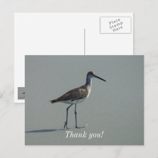 Sandpiper-Pose Postkarte (Vorne/Hinten)