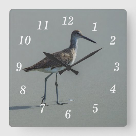 Sandpiper-Pose Quadratische Wanduhr (Vorderseite)