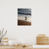 Sandpiper Poster (Küche)