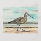 Sandpiper Postkarte (Vorderseite)