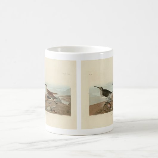 Sandpiper, rot unterlegt - Audubons Vögel in Ameri Kaffeetasse (Mittel)