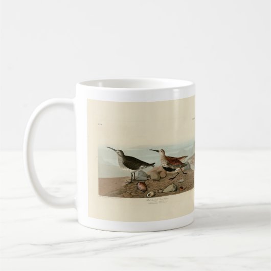Sandpiper, rot unterlegt - Audubons Vögel in Ameri Kaffeetasse (Links)