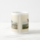 Sandpiper, Rotbrüste, Audubons Vögel von Amerika Kaffeetasse (Mittel)