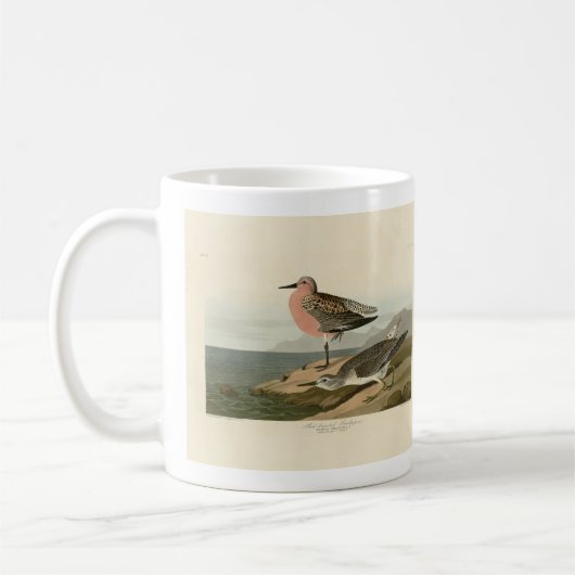 Sandpiper, Rotbrüste, Audubons Vögel von Amerika Kaffeetasse (Links)