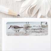 Sandpiper-Rücksendeadressen-Aufkleber (Insitu)