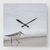 Sandpiper Shorebird Beach House Square Wall Clock Quadratische Wanduhr (Vorderseite)