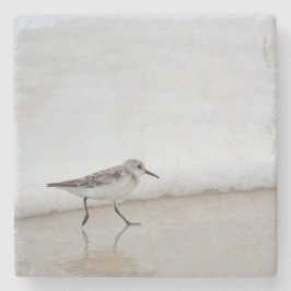 Sandpiper Shorebird Beach House Stone Untersetzer