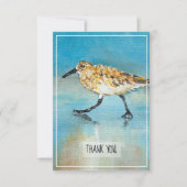 Sandpiper Shorebird Coastal Beach Danke Karte (Vorderseite)