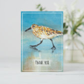 Sandpiper Shorebird Coastal Beach Danke Karte (Stehend Vorderseite)