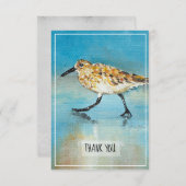 Sandpiper Shorebird Coastal Beach Danke Karte (Vorne/Hinten)