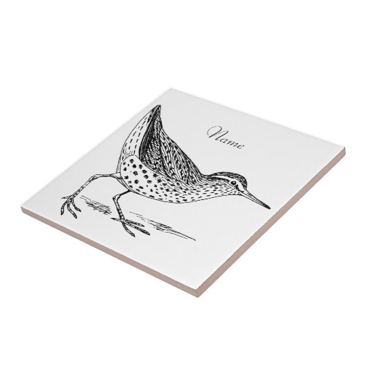 Sandpiper Shorebird Thunder_Cove Fliese (Seite)