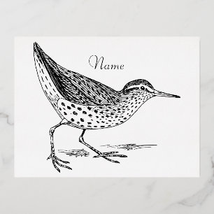 Sandpiper Shorebird Thunder_Cove Folien Feiertagspostkarte