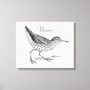 Sandpiper Shorebird Thunder_Cove Leinwanddruck