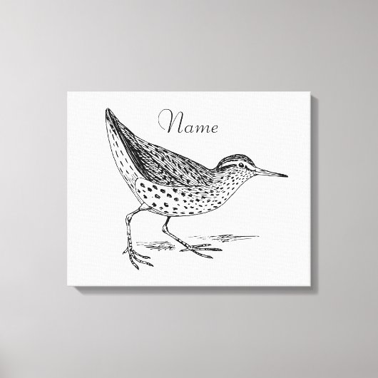 Sandpiper Shorebird Thunder_Cove Leinwanddruck (Vorderseite)