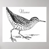 Sandpiper Shorebird Thunder_Cove Poster (Vorne)