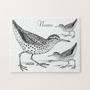 Sandpiper Shorebird Thunder_Cove Puzzle