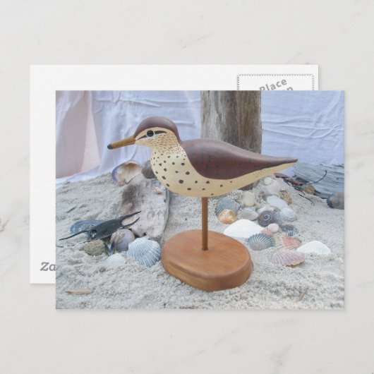 Sandpiper "Slick" Holzschnitzerei Postkarte (Vorne/Hinten)