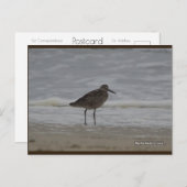 Sandpiper V | Blue Beach Song™ Postkarte (Vorne/Hinten)