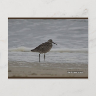 Sandpiper V | Blue Beach Song™ Postkarte
