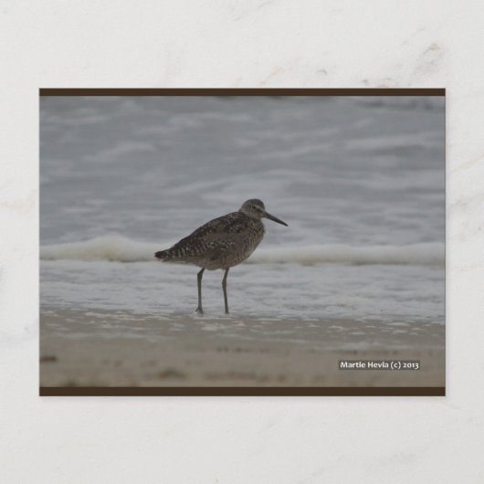 Sandpiper V | Blue Beach Song™ Postkarte (Vorderseite)