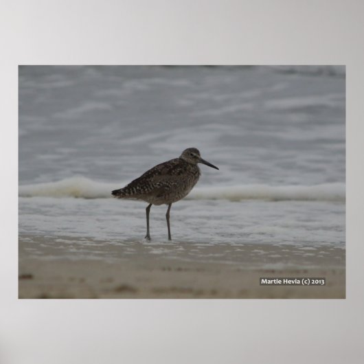 Sandpiper V Poster (Vorne)